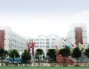 乐山外国语小学学校食堂TXVLOGCOM糖心官网设备工程项目